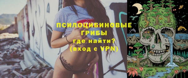 MESCALINE Кинешма