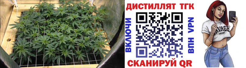 Купить  Высоковск  Дистиллят ТГК концентрат 