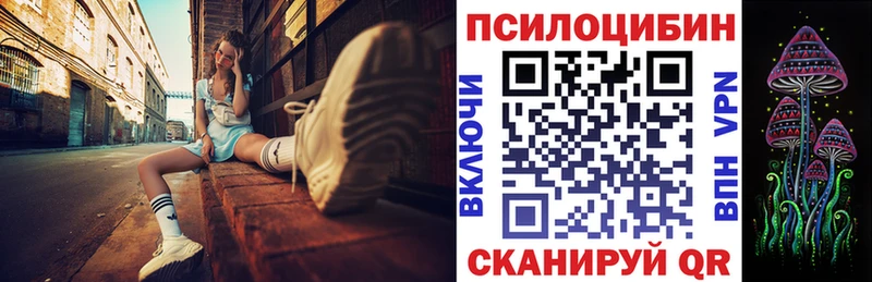 Купить  Высоковск  Псилоцибиновые грибы Cubensis 
